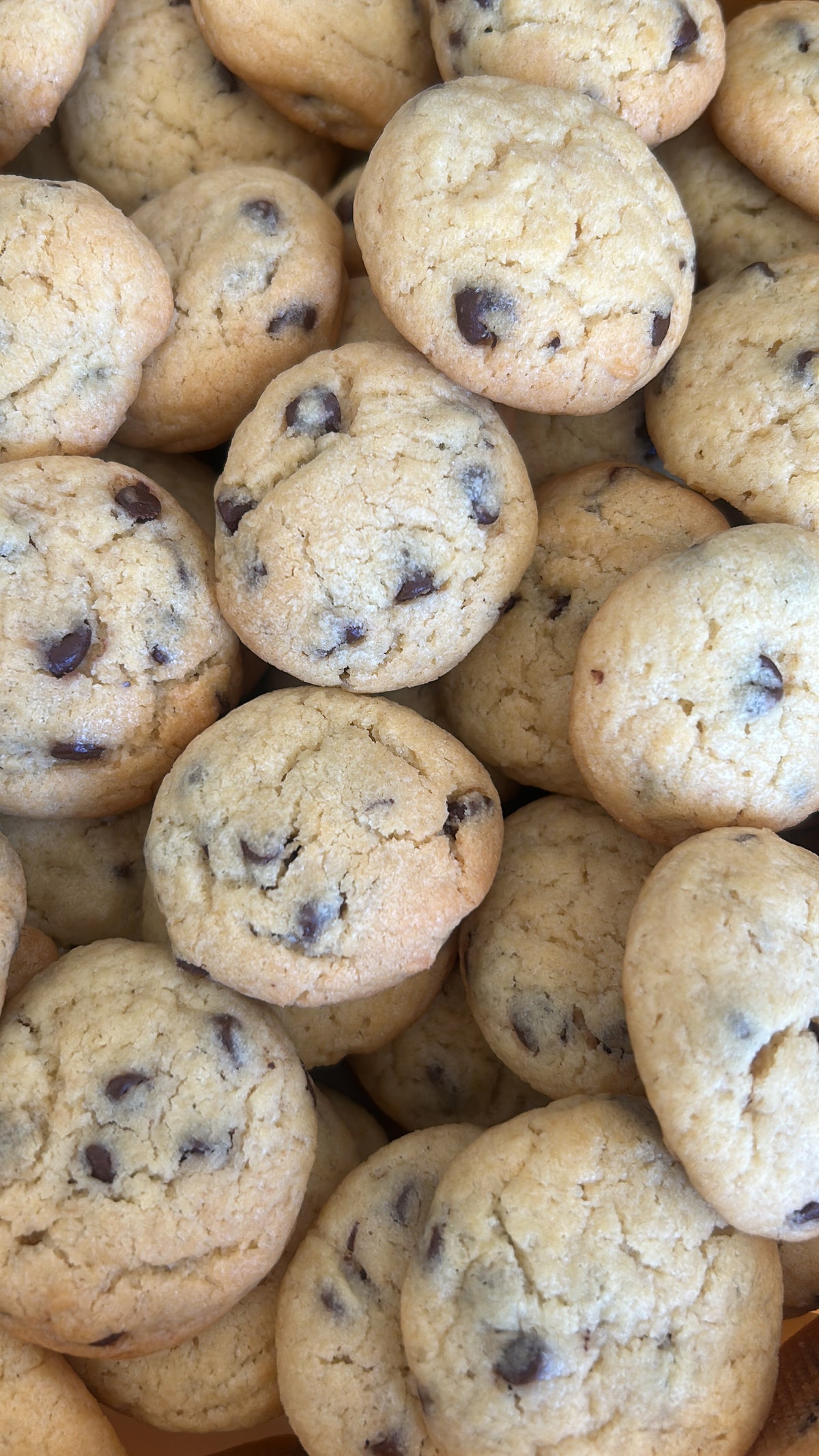 plein de mini cookies